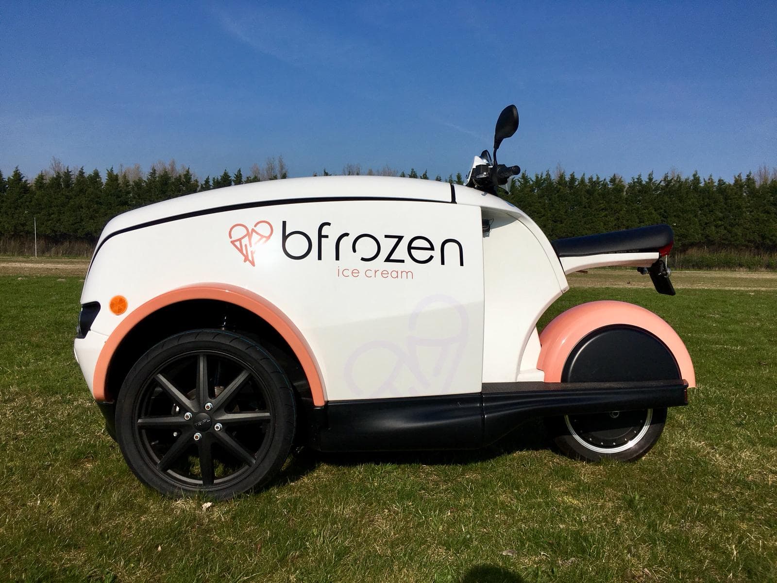 Bfrozen cover.jpg